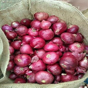 color rojo Cebolla roja varitey Ahorre tiempo Todo el año Cantidad mínima 30 toneladas Tiempo de entrega En 7 días Tamaño 5-7cm, 7-8cm, 9-11cm Peso