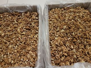 Nogal claro sin cáscara a la venta. Mezclar 80/20