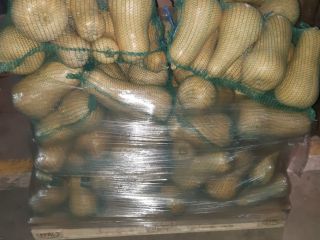 Vendemos calabaza fresca. Si tiene preguntas, hágamelo saber.