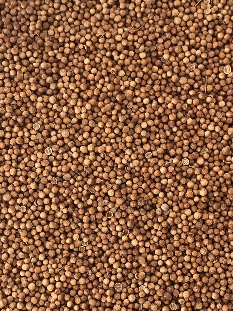 Cilantro de excelente calidad, pureza 2, mitades 5, humedad 10