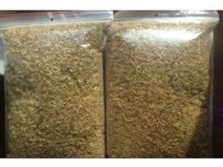 ¡Hola! Le ofrezco tabacos para fumar bien conocidos de