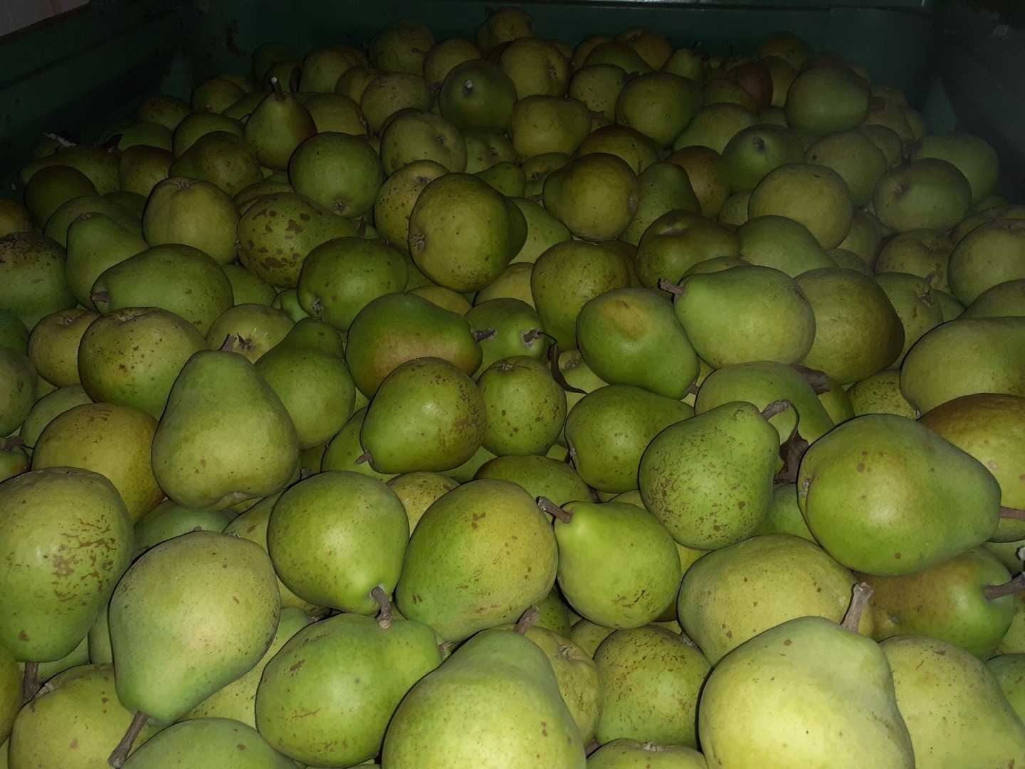 Venderé Lukas, unas 8 toneladas