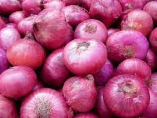 somos proveedores de cebollas, patatas, frutas y otros productos