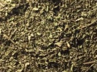 2020 trilla de menta a la venta. Número de