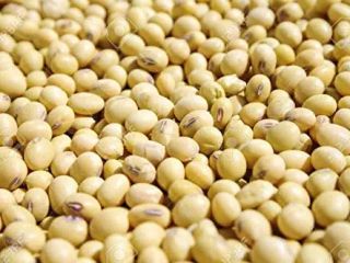 Somos EKTOSAM MULTIPURPOSE COMPANY LTD, nuestros productos agrícolas orgánicos