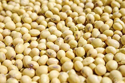 Somos EKTOSAM MULTIPURPOSE COMPANY LTD, nuestros productos agrícolas orgánicos que van desde soja orgánica, trigo, mijo, maíz, jengibre, ajo para la venta