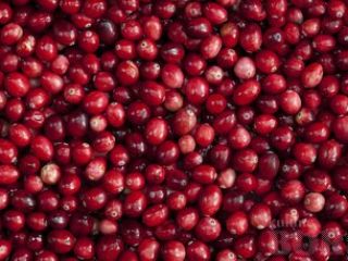 Arándano congelado a la venta por cooperativa agrícola. Origen: