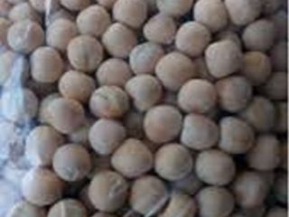 Venderé semillas de guisantes - SALAMANKA C2. Las semillas