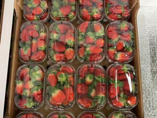 ¡¡Comenzaron las ventas de fresas !! ¡Han comenzado las