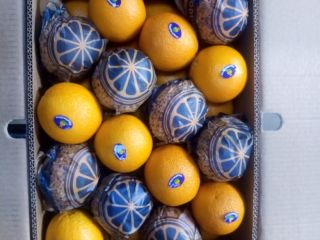 Naranja Valencia: caja - 14,5 kg, 1664 cajas, peso