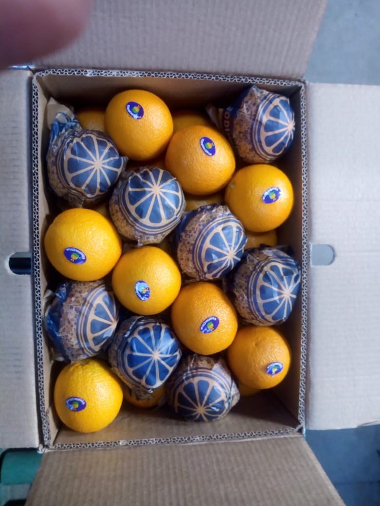 Naranja Valencia: caja - 14,5 kg, 1664 cajas, peso neto del contenedor - 24128 kg