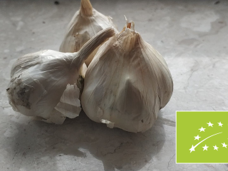 Venderé ajo orgánico con certificado AgroBioTest vigente. En cabezas