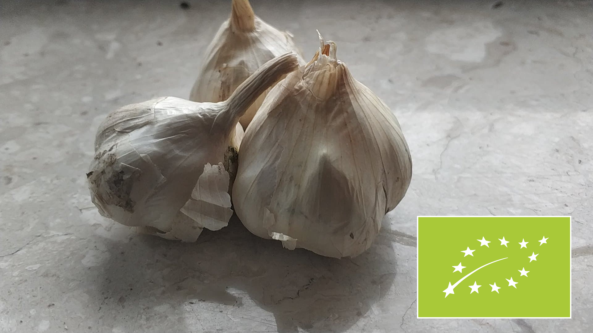 Venderé ajo orgánico con certificado AgroBioTest vigente