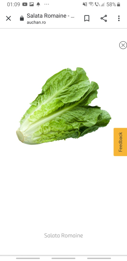 Somos Best Import Srl, tenemos una oferta de precios para los siguientes productos (verduras frescas, compradas en Italia, Roma y Verona, respectivamente)