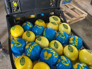 Un limón fresco de Turquía está listo para su