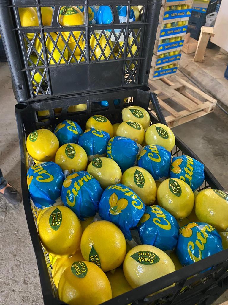 Un limón fresco de Turquía está listo para su envío