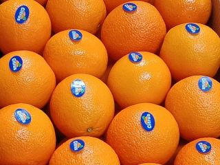 Importación y exportación de productos orgánicos Estamos especializados en
