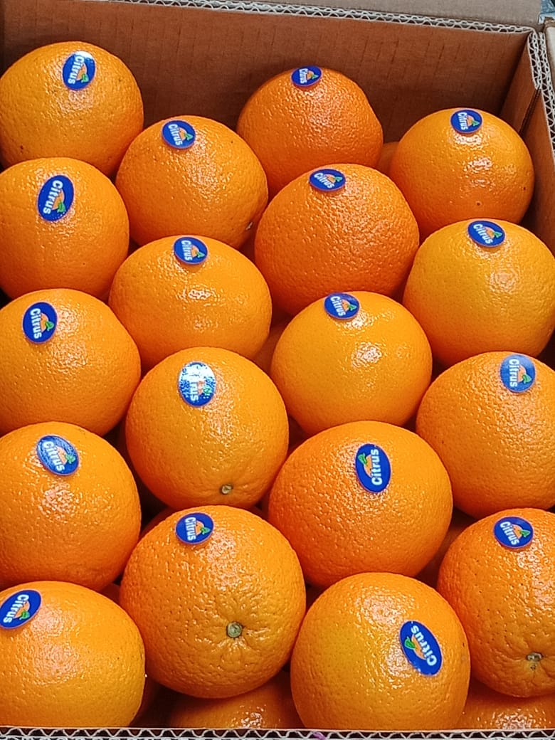 Importación y exportación de productos orgánicos Estamos especializados en campos agrícolas, ya que seleccionamos la mejor empresa para cada tipo de fruta y