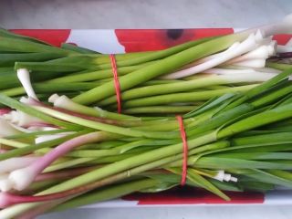 Ajo verde fresco para la venta. Variedad roja.