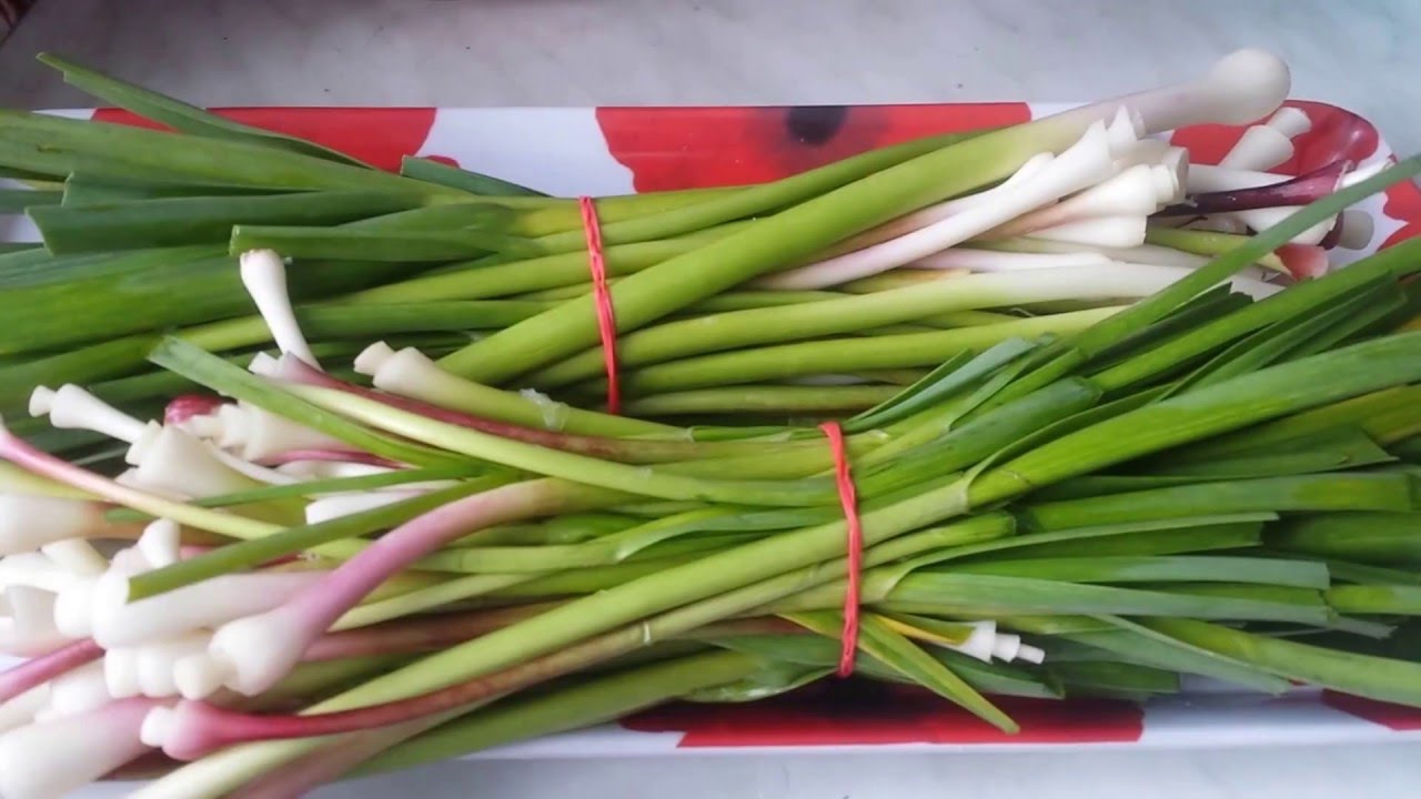 Ajo verde fresco para la venta