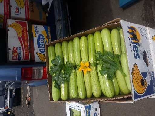 Venderé calabazas a partir de cantidades diarias más significativas Quiero colaborar con un almacén