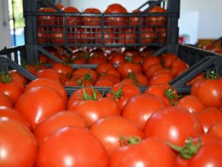 El producto está certificado para su venta en toda