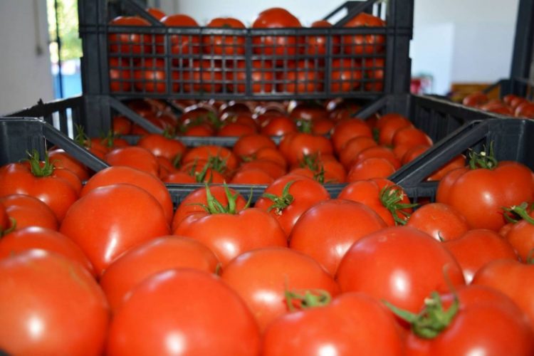 El producto está certificado para su venta en toda Europa y es el mejor precio en toda Europa