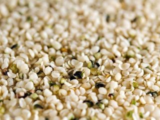 Semilla de cáñamo sin cáscara / Semillas de cáñamo