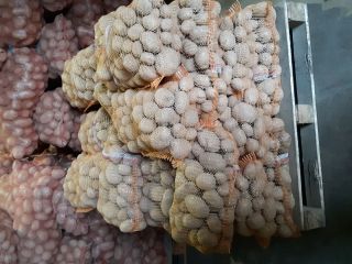 Venderé papas comestibles, variedad Vineta, papas muy sabrosas de