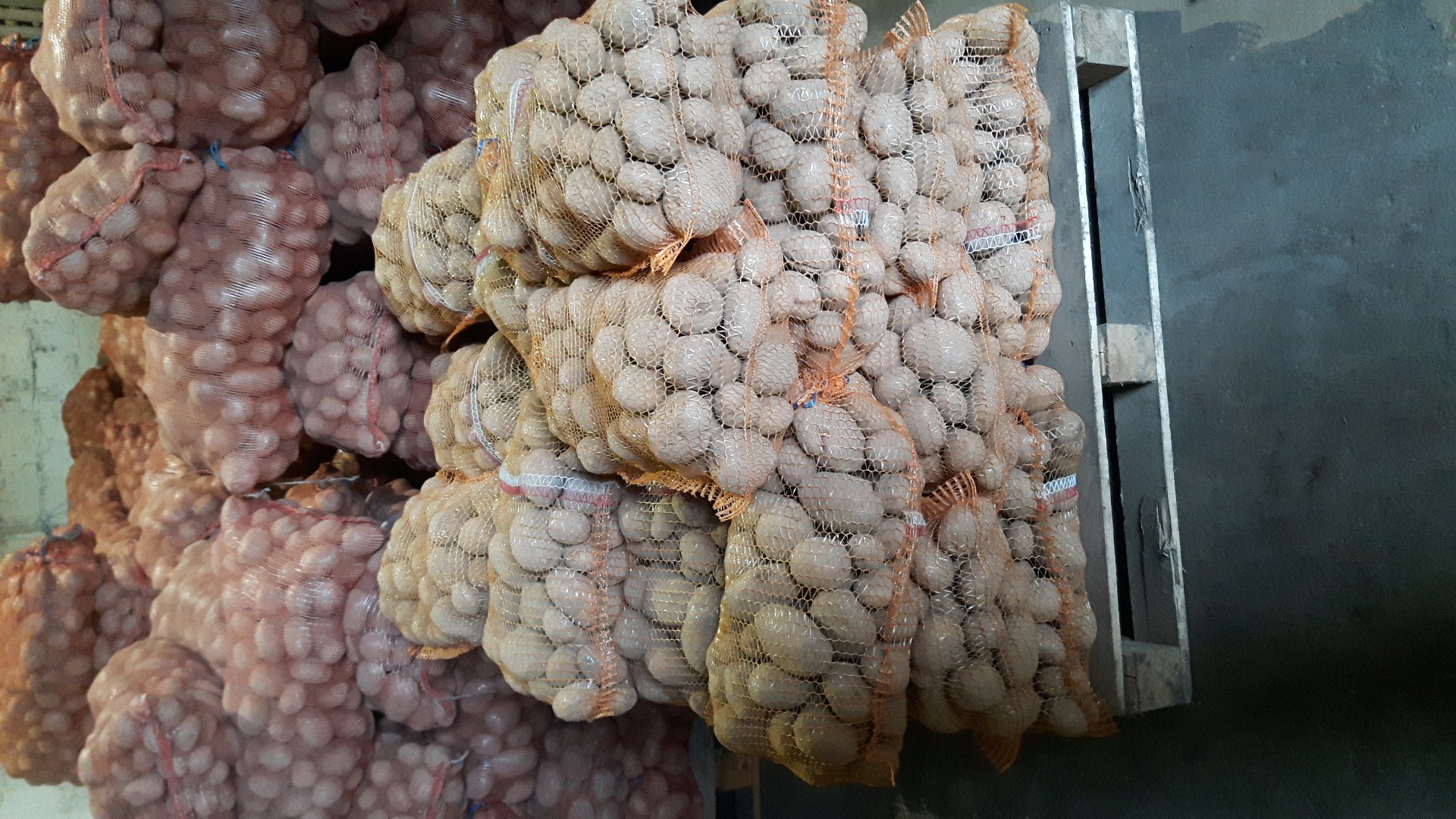 Venderé papas comestibles, variedad Vineta, papas muy sabrosas de una granja familiar
