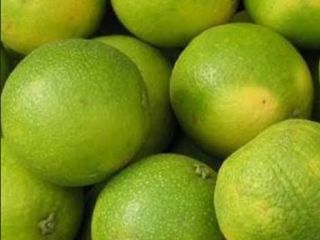 Limones orgánicos frescos de Uganda