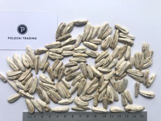 Hola, Vendo semillas de girasol blancas envasadas en bolsas