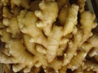 Somos los agricultores y exportadores de jengibre más renombrados.