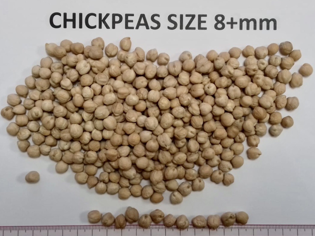 Garbanzos a la venta, tamaño 6mm-8mm + país de origen Canadá