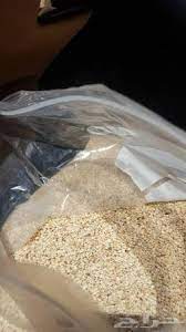 Semillas de sésamo blanco 2021-Cosecha, 50Kg Sacos de plástico, FOB, Puerto de desembarco (Portsudan) -Sudan Contenido de aceite mínimo: 48% Pureza: 99% - 1%