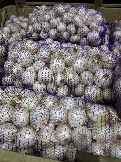 Cebolla blanca clase A Variedad: Sterling Tamaño 5-9 cm Embalaje: neto 10 kg y 20 kg Hay ligeros cambios de forma o color, daños mecánicos menores
