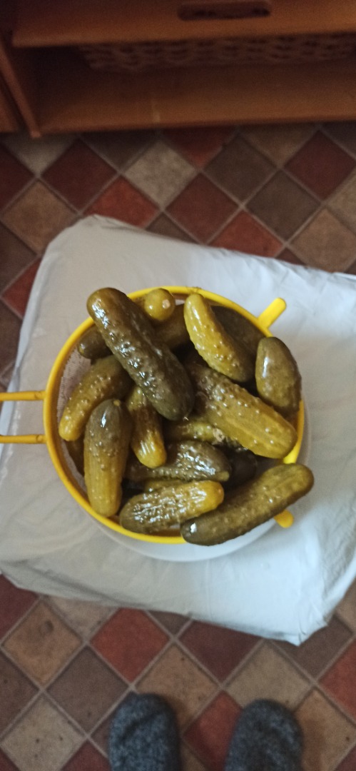 Ofrecemos pepinos encurtidos de forma natural, perfectos para ensaladas y ensaladas, sabor casero único