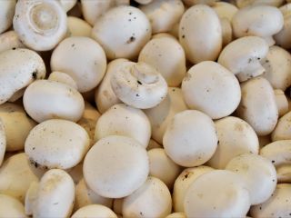 Champiñones