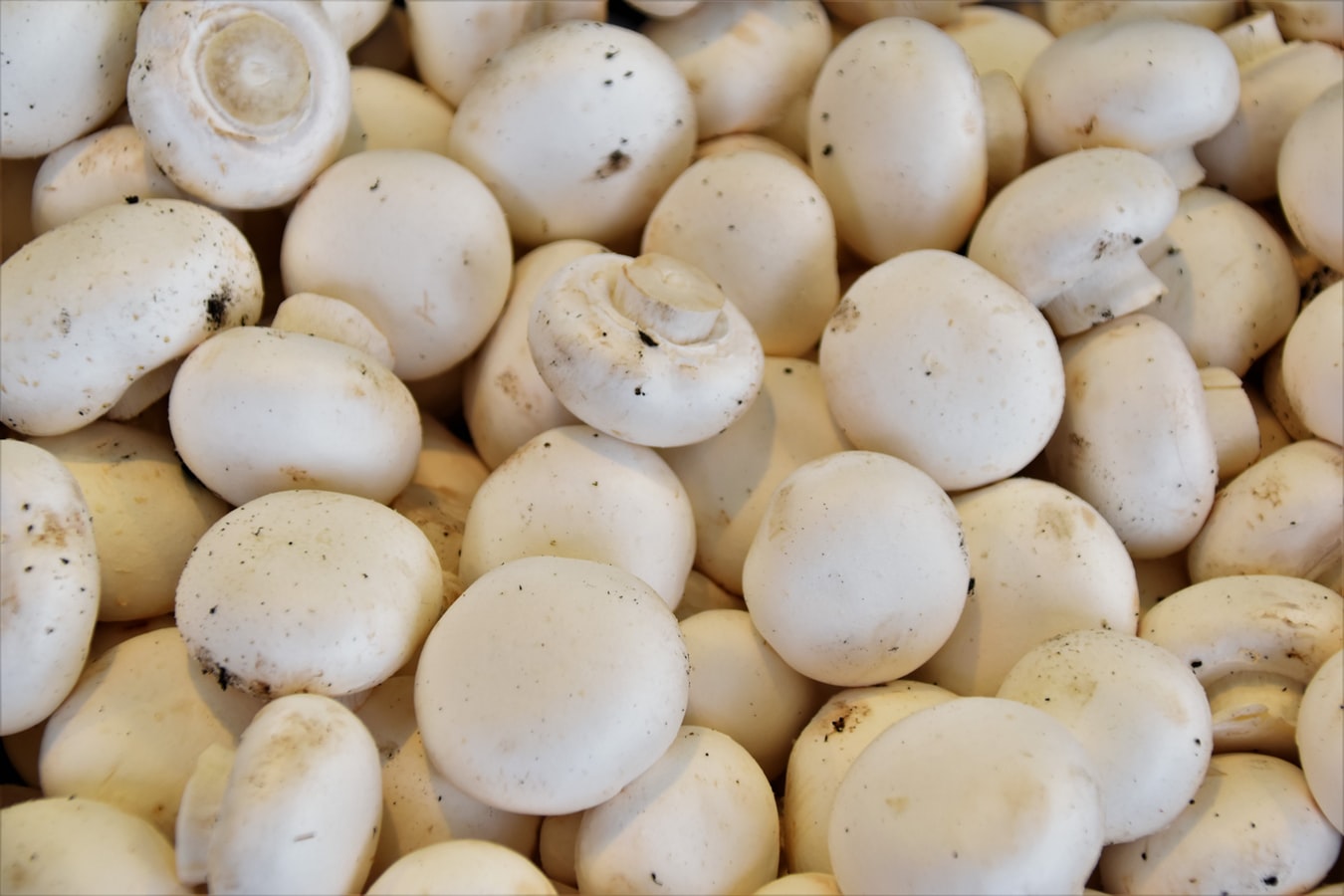 Champiñones