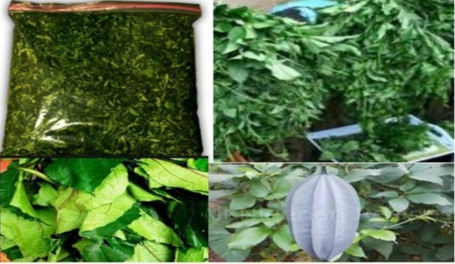 Calabaza seca estriada disponible para la venta