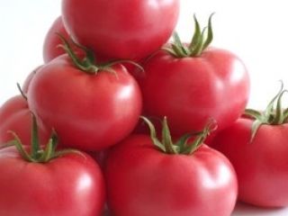 Un hermoso tomate de Grecia, directamente de Salónica, precio
