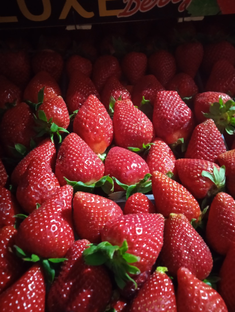 Fresas Victory, grandes, dulces, caja de 5 kg
