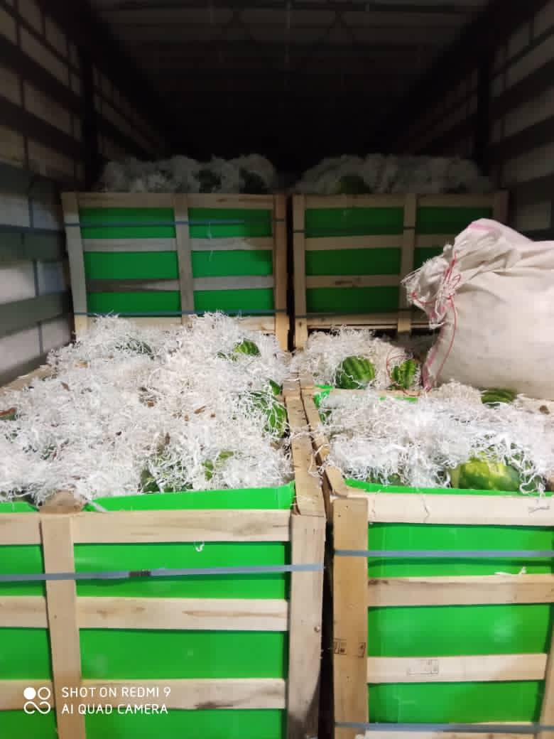 Venderé sandías a granel, el precio incluye transporte