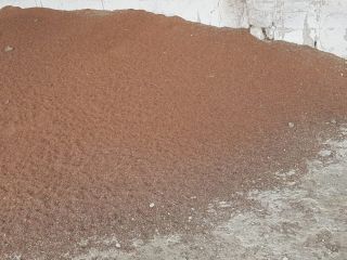 Vendo sorgo y cebada forrajera, ideal para alimentación animal.