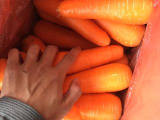 VIETNAM FRESH ZANAHORIA podemos ofrecerle una gran cantidad en
