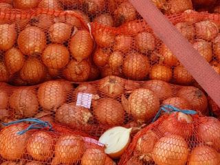 Cebollas, 23000 kg Para más detalles contactar ,80 lei