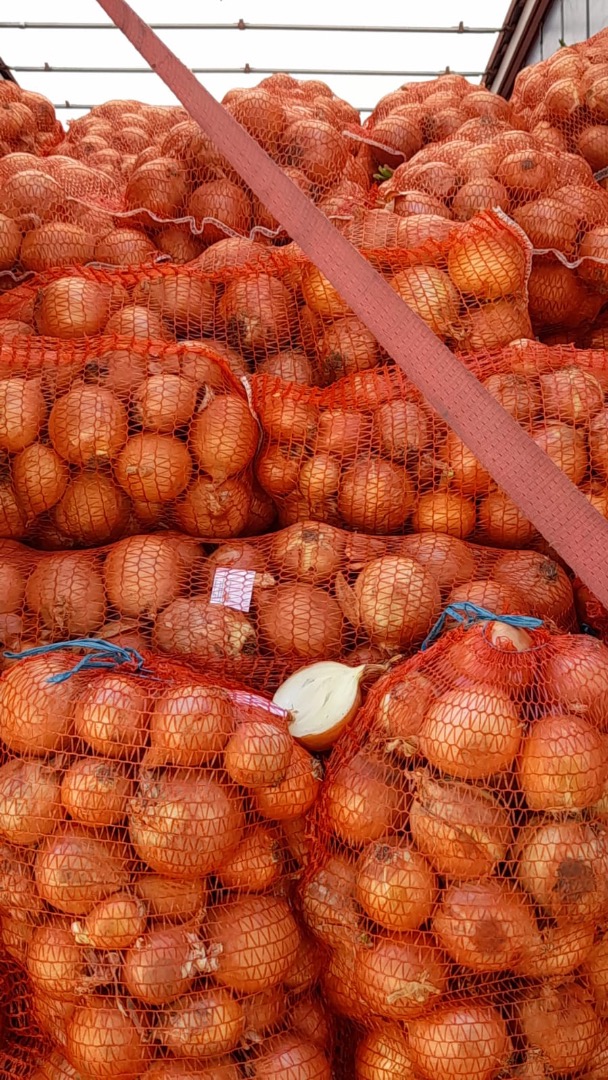 Cebollas, 23000 kg Para más detalles contactar ,80 lei kg IVA incluido
