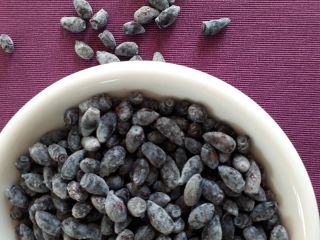 Descripción: Fruto de la baya de Kamchatka. Varios receptores