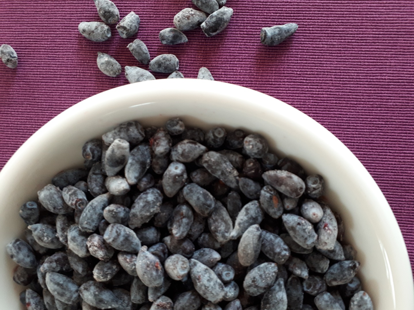 Descripción: Fruto de la baya de Kamchatka