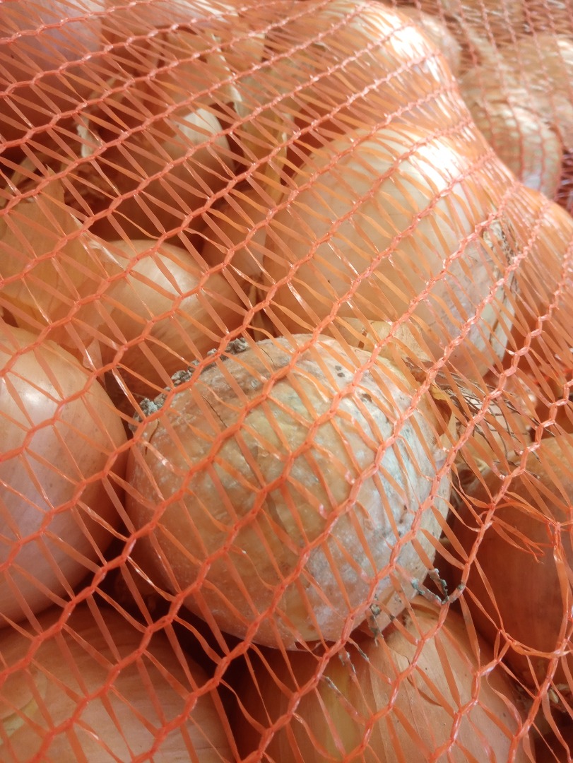Cebollas de carne de origen alemán